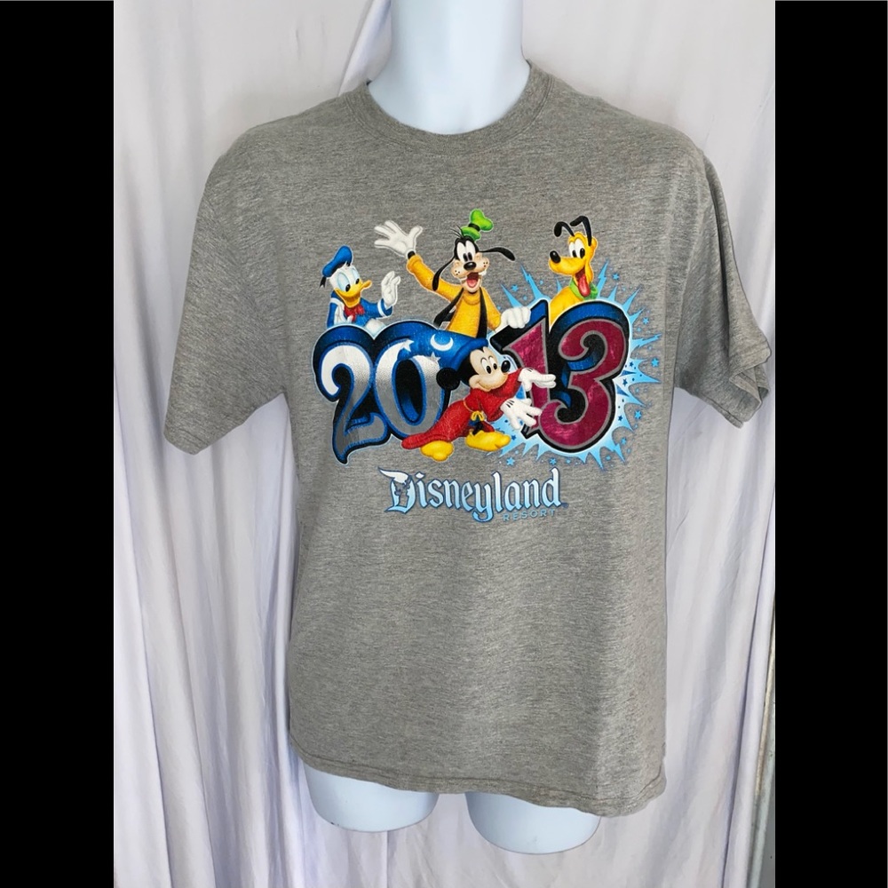 Disneyland 2013 Men's Shirt